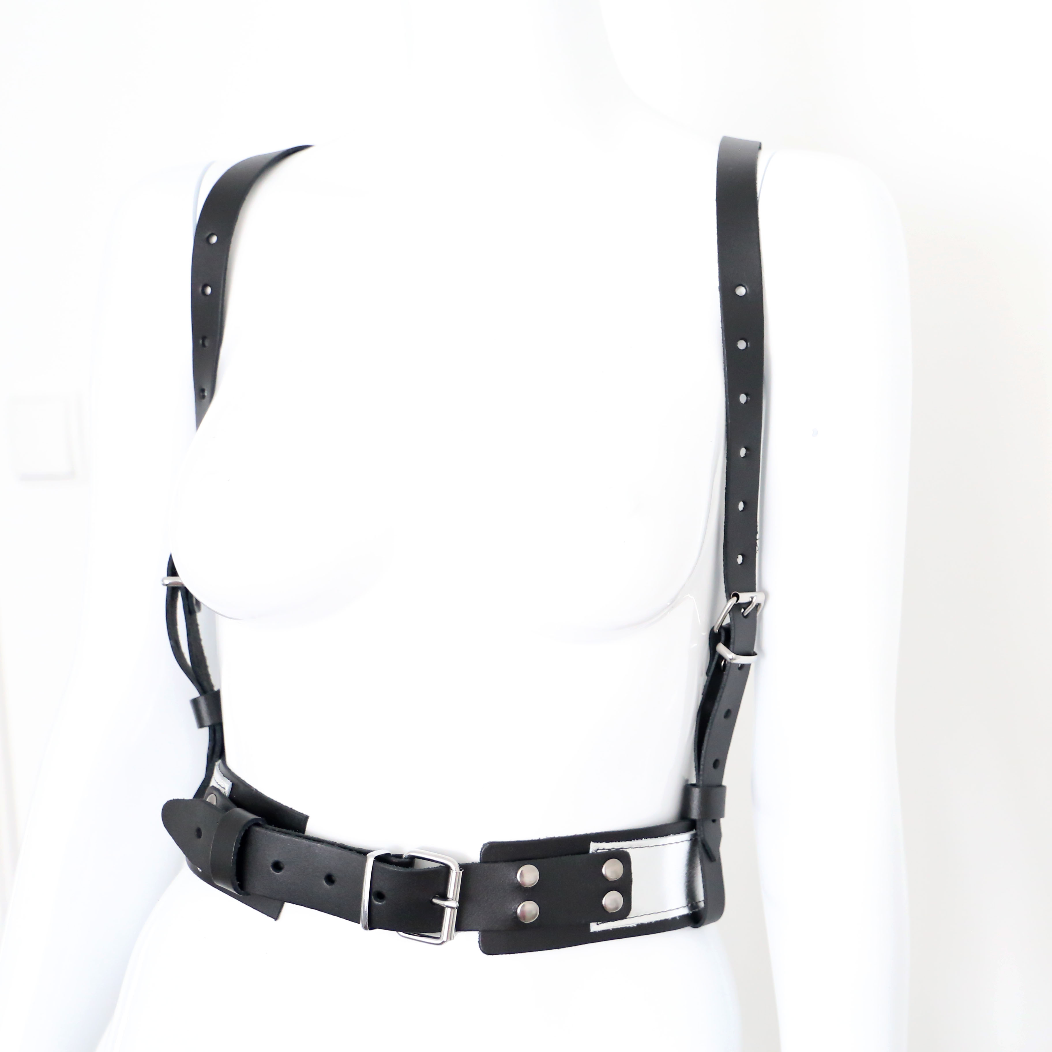 Harness Black and Silver
