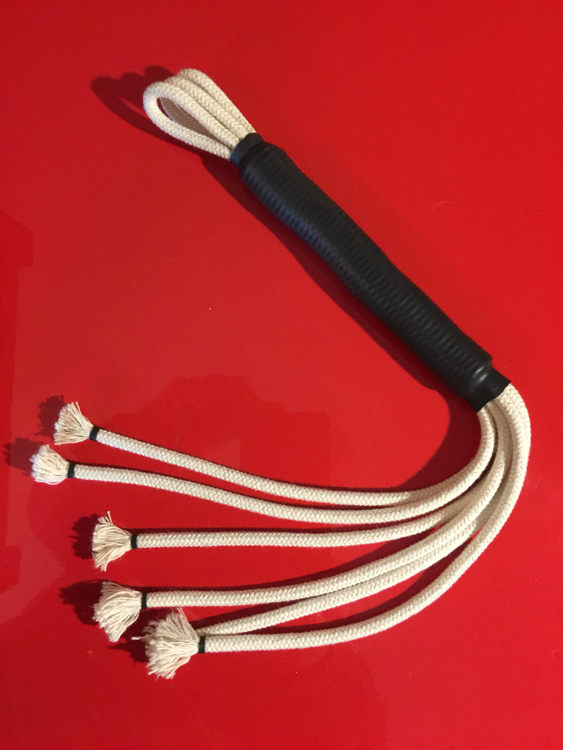 SEIL PEITSCHE - mx002