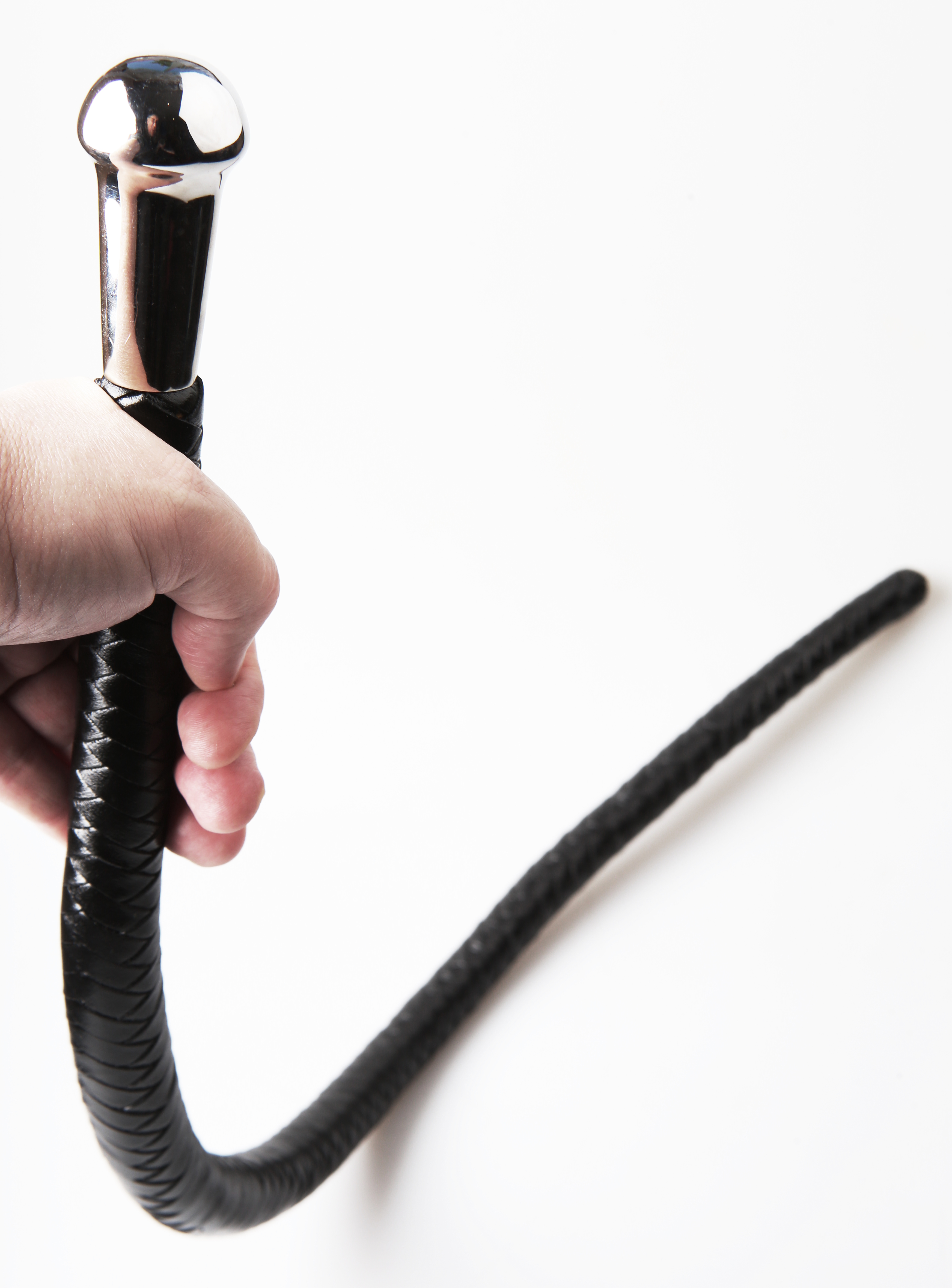 Canaille - Kanadische Short Bull