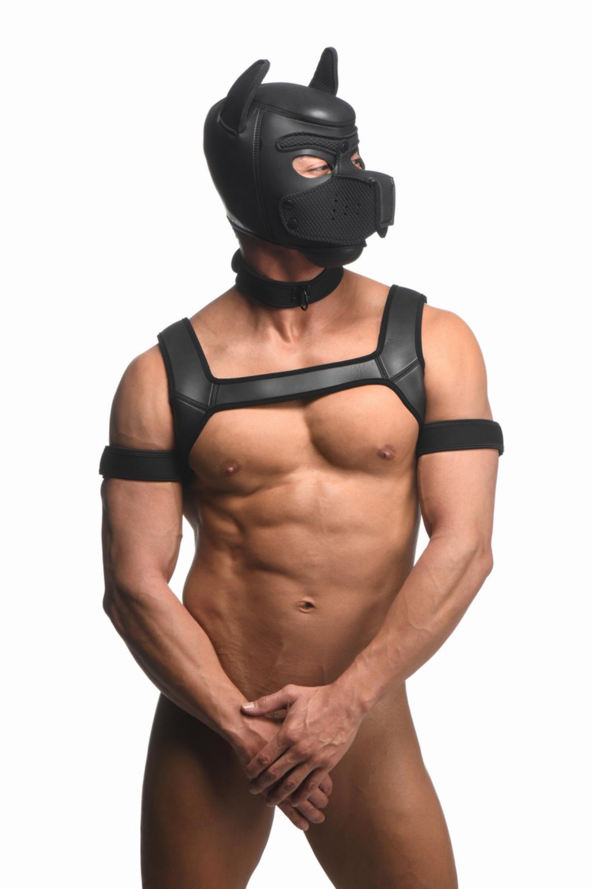 Komplettes Welpen Set Schwarz